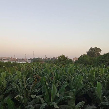 Tomorrow Land Villa Luxor Bagian luar foto
