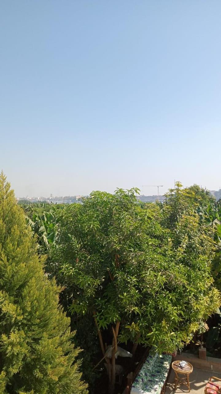 Tomorrow Land Villa Luxor Bagian luar foto